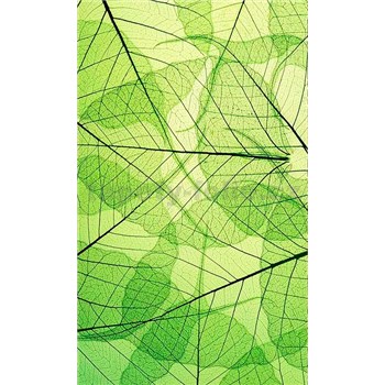 Vliesové fototapety listové žíly rozměr 150 cm x 250 cm