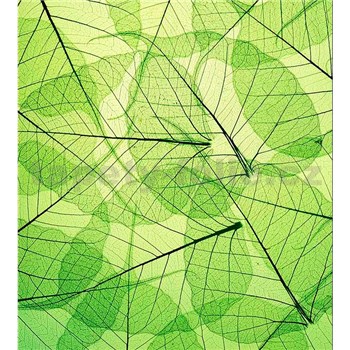 Vliesové fototapety listové žíly rozměr 225 cm x 250 cm