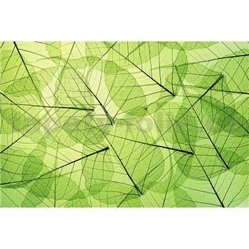 Vliesové fototapety listové žíly rozměr 375 cm x 250 cm