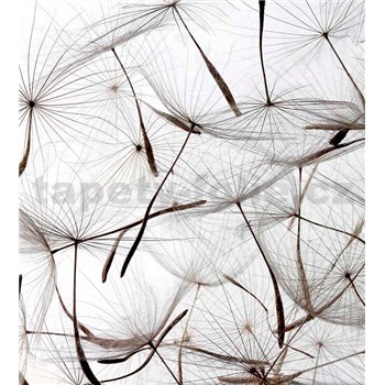 Vliesové fototapety létající pampelišky rozměr 225 cm x 250 cm - POSLEDNÍ KUSY