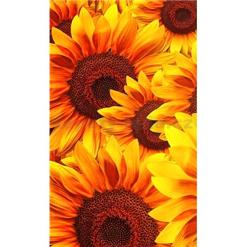 Vliesové fototapety květy slunečnic rozměr 150 cm x 250 cm