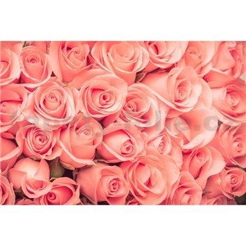 Vliesové fototapety růže rozměr 375 cm x 250 cm