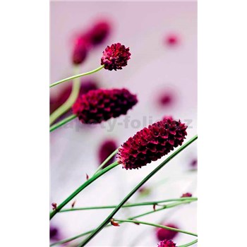 Vliesové fototapety květiny fialové rozměr 150 cm x 250 cm