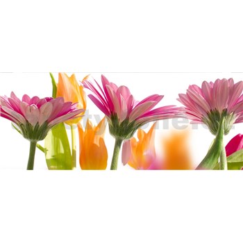 Vliesové fototapety jarní květy rozměr 375 cm x 150 cm