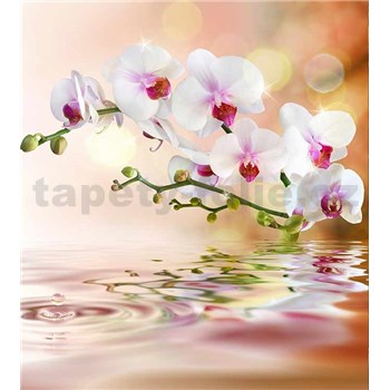 Vliesové fototapety bílá orchidej rozměr 225 cm x 250 cm