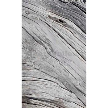 Vliesové fototapety textura stromu rozměr 150 cm x 250 cm - POSLEDNÍ KUSY