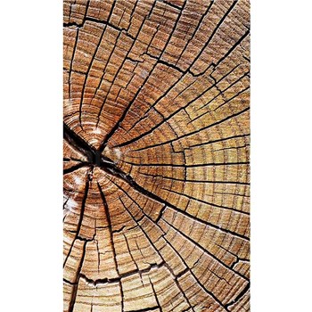 Vliesové fototapety letokruhy kmene rozměr 150 cm x 250 cm
