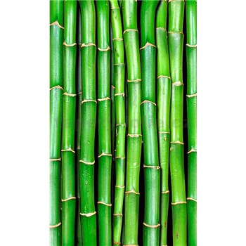 Vliesové fototapety bambus rozměr 150 cm x 250 cm