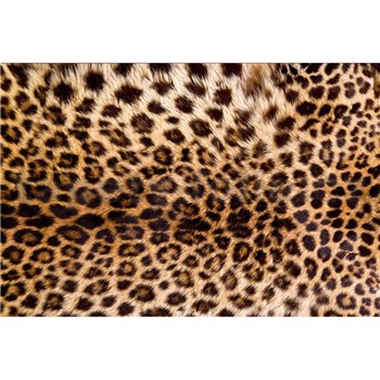 Vliesové fototapety leopardí kůže rozměr 375 cm x 250 cm