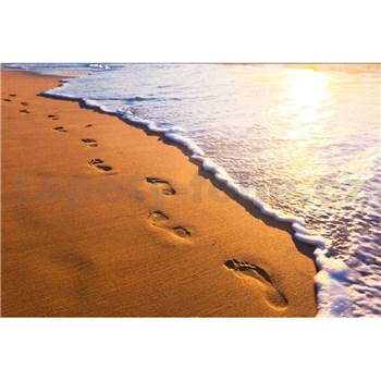 Vliesové fototapety stopy na pobřeží rozměr 375 cm x 250 cm