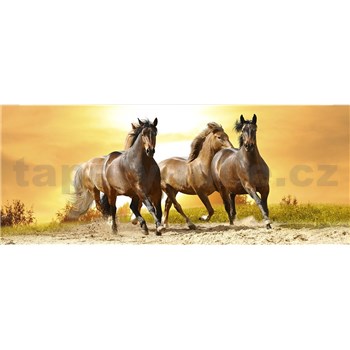 Vliesové fototapety koně při západu slunce rozměr 375 cm x 150 cm
