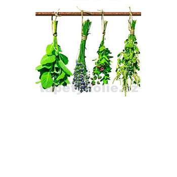 Vliesové fototapety bylinky rozměr 150 cm x 250 cm