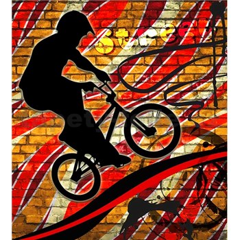 Vliesové fototapety bicycle red rozměr 225 cm x 250 cm