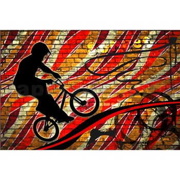 Vliesové fototapety bicycle red rozměr 375 cm x 250 cm