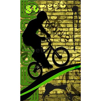 Vliesové fototapety bicycle green rozměr 150 cm x 250 cm