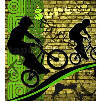 Vliesové fototapety bicycle green rozměr 225 cm x 250 cm