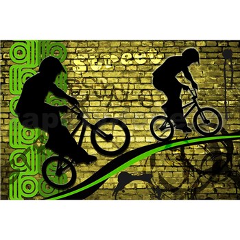 Vliesové fototapety bicycle green rozměr 375 cm x 250 cm
