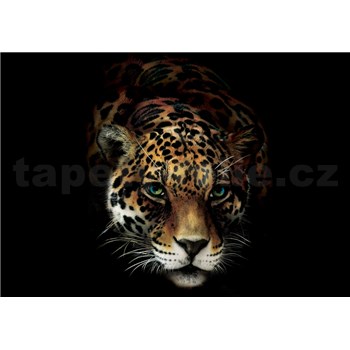 Vliesové fototapety jaguár rozměr 368 cm x 254 cm