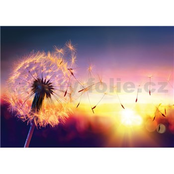 Vliesové fototapety pampeliška ve větru rozměr 368 cm x 254 cm - POSLEDNÍ KUSY