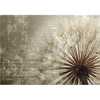 Vliesové fototapety Dandelion rozměr 368 cm x 254 cm