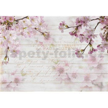 Vliesové fototapety květy sakury na dřevě rozměr 368 cm x 254 cm