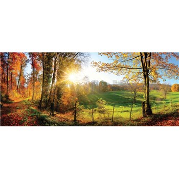 Vliesové fototapety slunce a les rozměr 250 cm x 104 cm