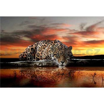 Vliesové fototapety jaguár rozměr 312 cm x 219 cm