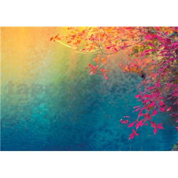 Vliesové fototapety barevné listí , slunce, nebe rozměr 368 cm x 254 cm