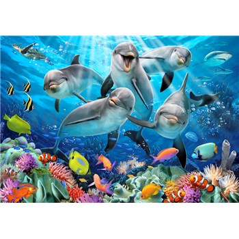Vliesové fototapety selfie delfíni rozměr 368 cm x 254 cm