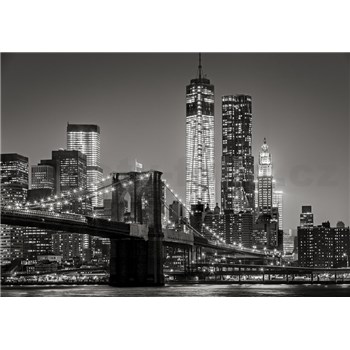 Vliesové fototapety New York rozměr 368 cm x 254 cm