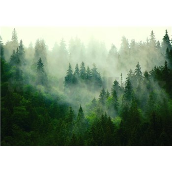 Vliesové fototapety opar nad lesem rozměr 368 cm x 254 cm