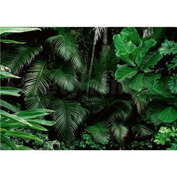 Vliesové fototapety Jungle listy rozměr 368 cm x 254 cm