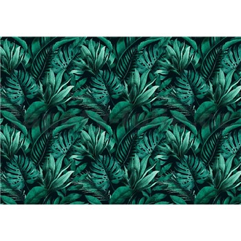 Vliesové fototapety palmové,banánové a monstera listy rozměr 368 cm x 254 cm