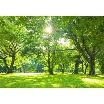 Vliesové fototapety jarní park rozměr 368 cm x 254 cm