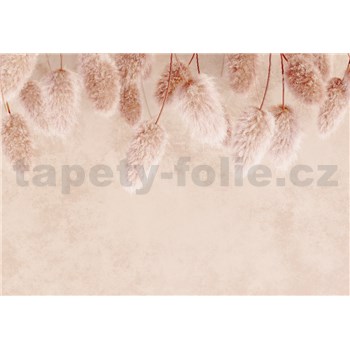 Vliesové fototapety suché květy BOHO rozměr 368 cm x 254 cm