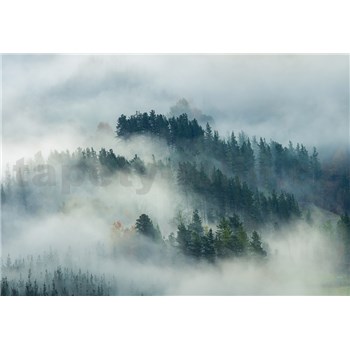 Vliesové fototapety lesy v mlze rozměr 368 cm x 254 cm