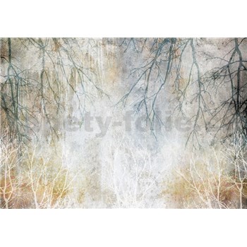 Vliesové fototapety beton s větvemi rozměr 368 cm x 254 cm