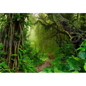 Vliesové fototapety stezka v džungli rozměr 368 cm x 254 cm