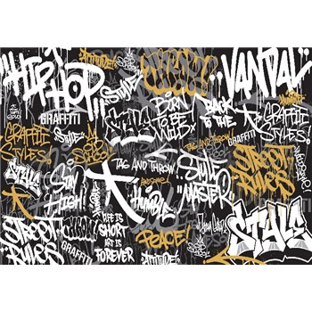 Vliesové fototapety graffiti rozměr 368 cm x 254 cm