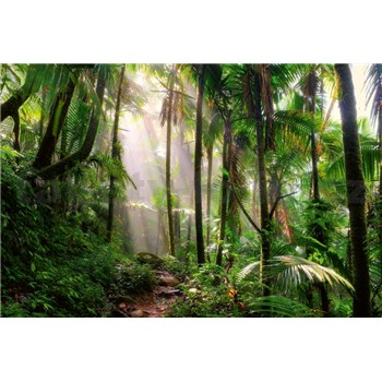 Vliesové fototapety cesta v džungli rozměr 375 cm x 250 cm