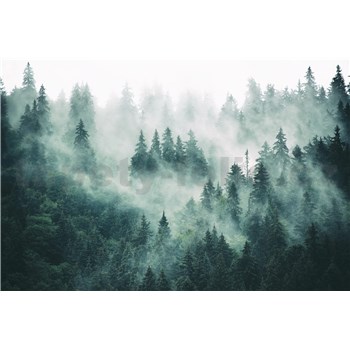 Vliesové fototapety les v mlze rozměr 375 cm x 250 cm