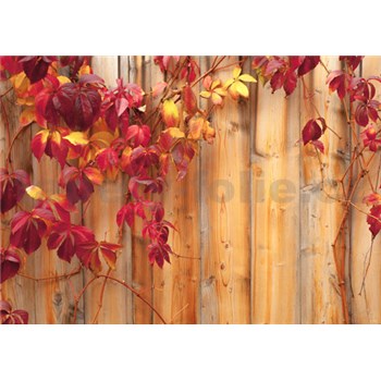 Vliesové fototapety podzimní plot rozměr 312 cm x 219 cm
