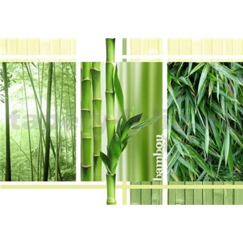 Vliesové fototapety bambus koláž rozměr 312 cm x 219 cm
