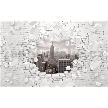 Fototapety 3D New York černo-bílý rozměr 368 cm x 254 cm