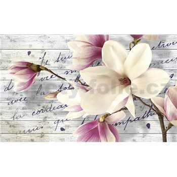 Fototapety květy magnolie rozměr 368 cm x 254 cm