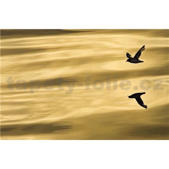 Fototapety National Geographic Reflection rozměr 184 cm x 127 cm - POSLEDNÍ KUSY