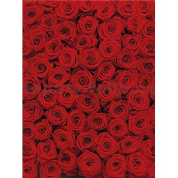 Fototapety červené růže rozměr 194 cm x 270 cm - POSLEDNÍ KUS