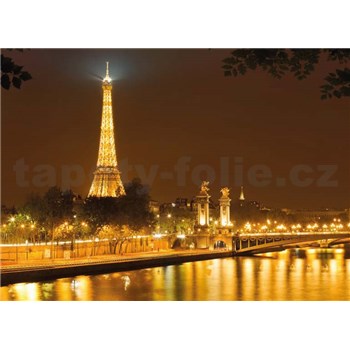 Fototapety Eiffelova věž v noci rozměr 366 cm x 254 cm