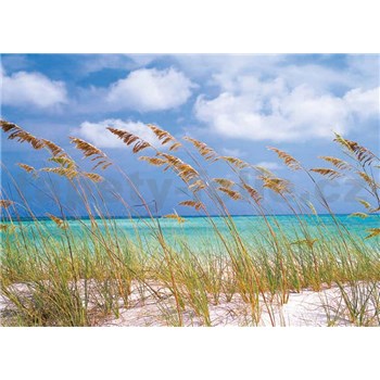 Fototapety Ocean Breeze rozměr 368 cm x 254 cm - POSLEDNÍ KUSY
