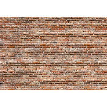 Fototapety Backstein cihlová zeď rozměr 368 cm x 254 cm